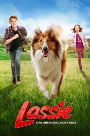 Lassie, wróć! 2021 [online]